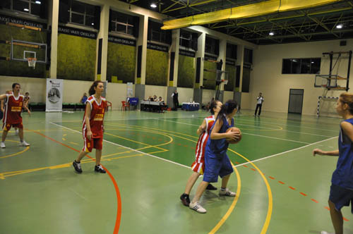sbbl (107)